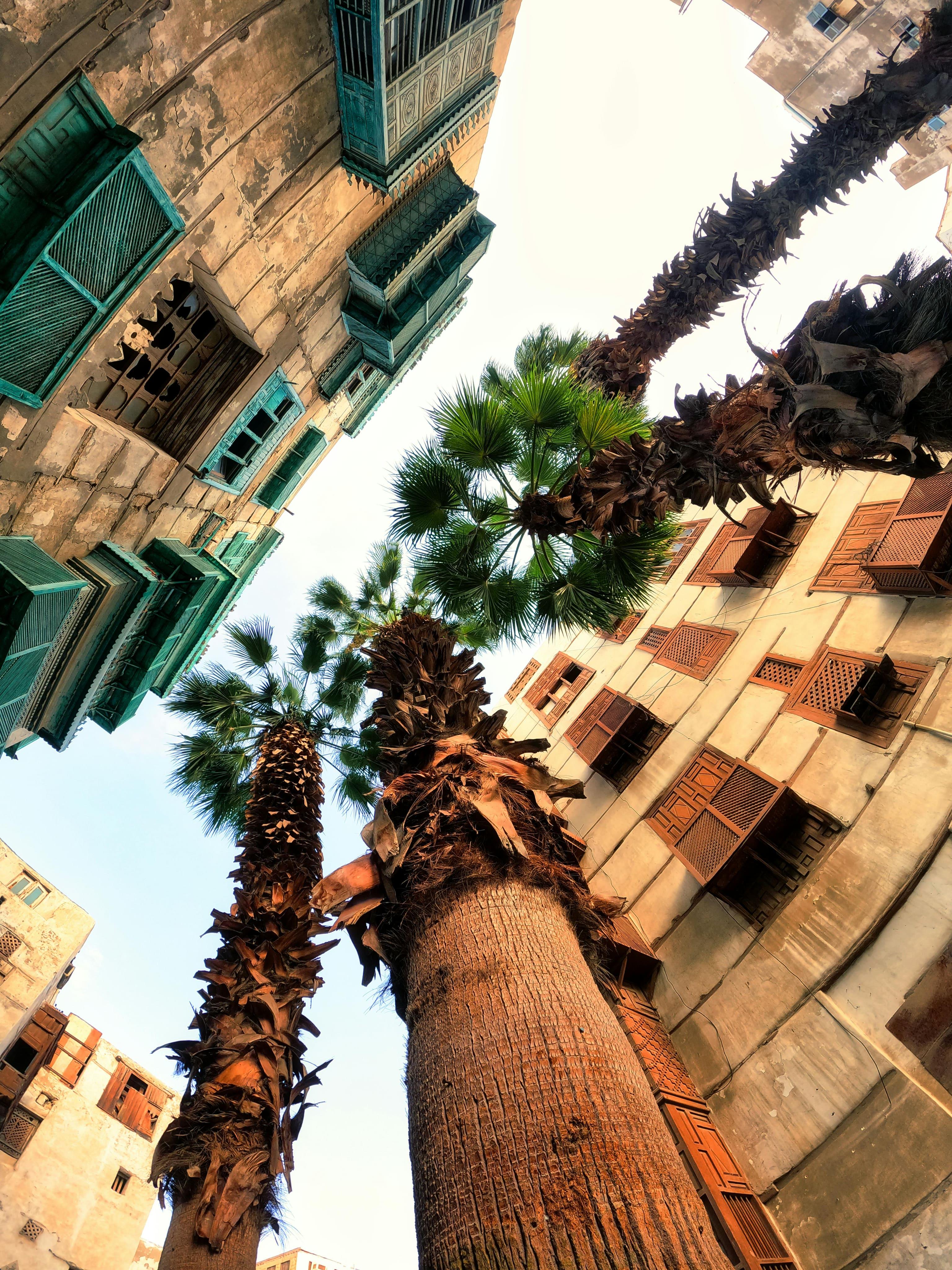 become-creator-image